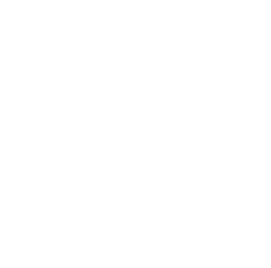 White Vkontakte Icon
